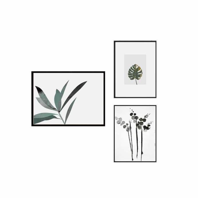 Nature Flowers - Trio set art prints