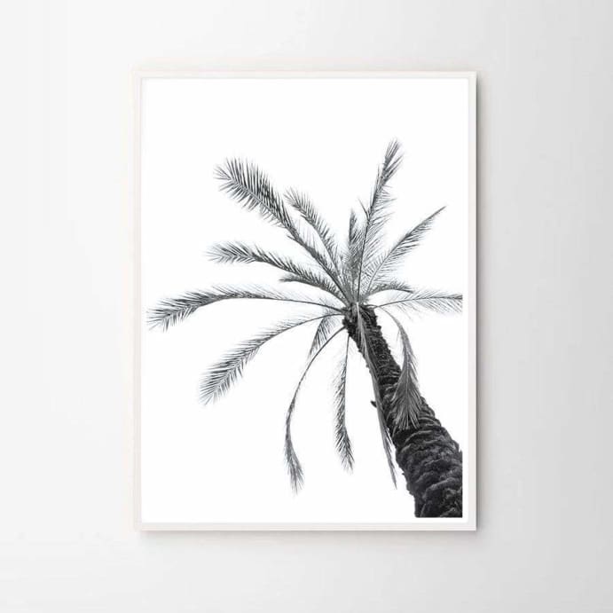 Palm tree poster print
