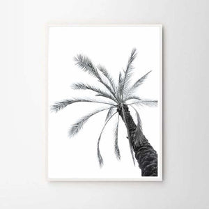 Palm tree poster print